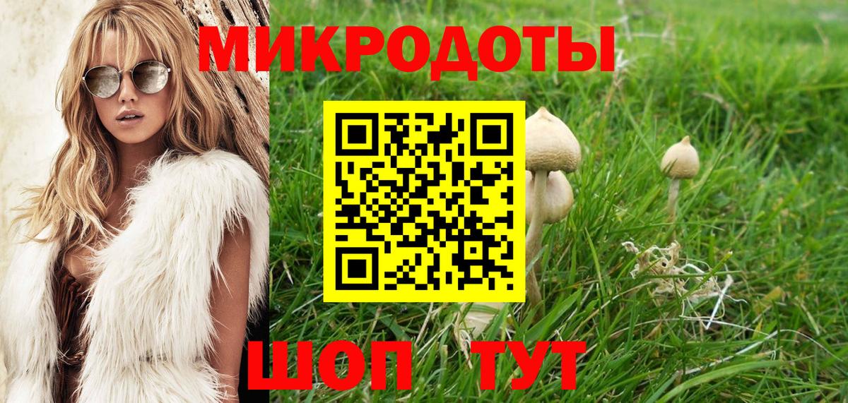 Галлюциногенные грибы Cubensis  Вход с VPN  Боровичи  Псилоцибиновые грибы мухоморы 