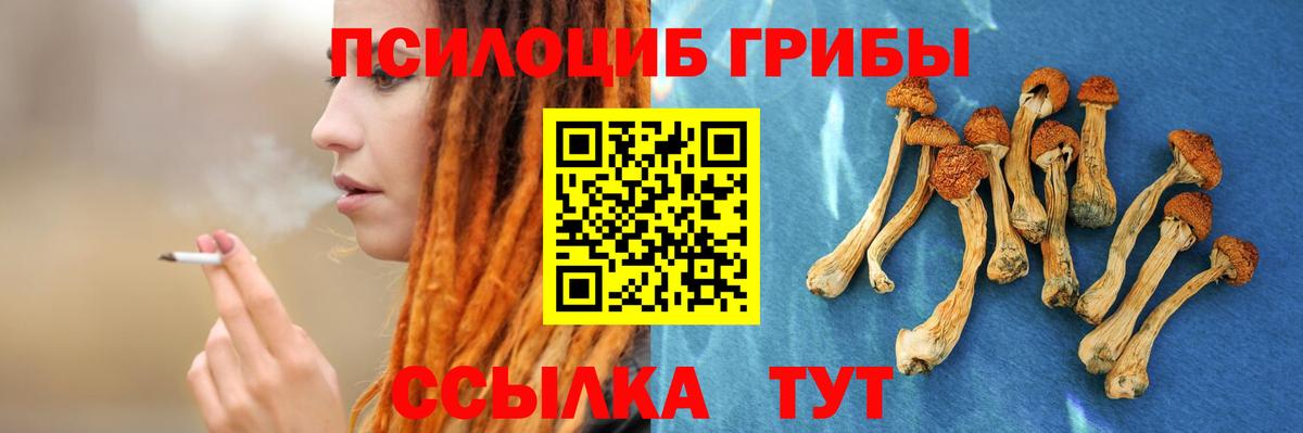 Псилоцибиновые грибы мухоморы Боровичи