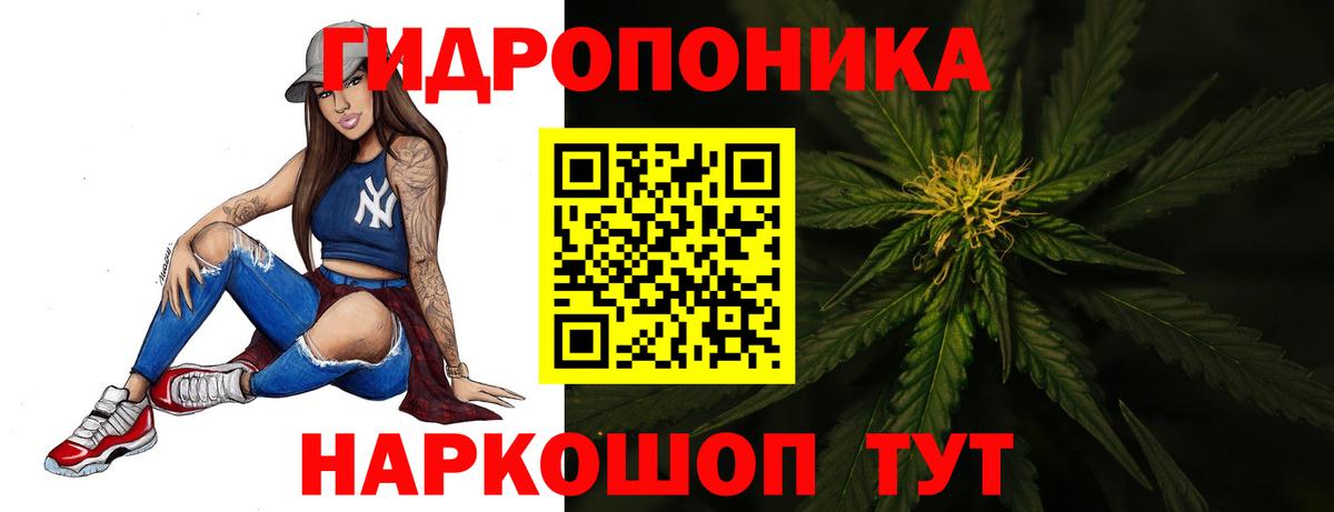 Боровичи  Бошки марихуана план  Канабис индика  Канабис White Widow  Вход с VPN 